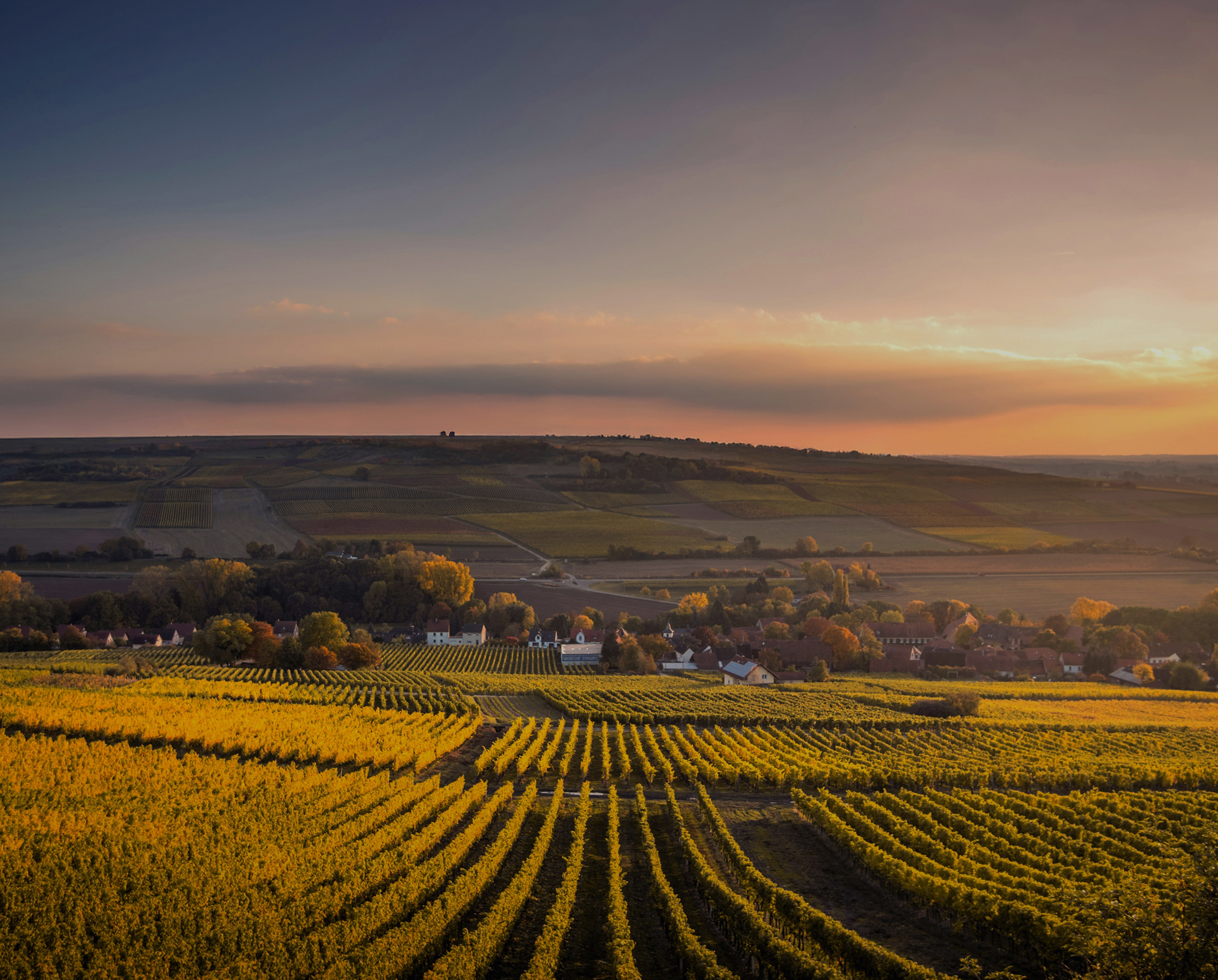 Lorem ipsum dolor sit amet, consectetuer adipiscing elit aenean commodo ligula