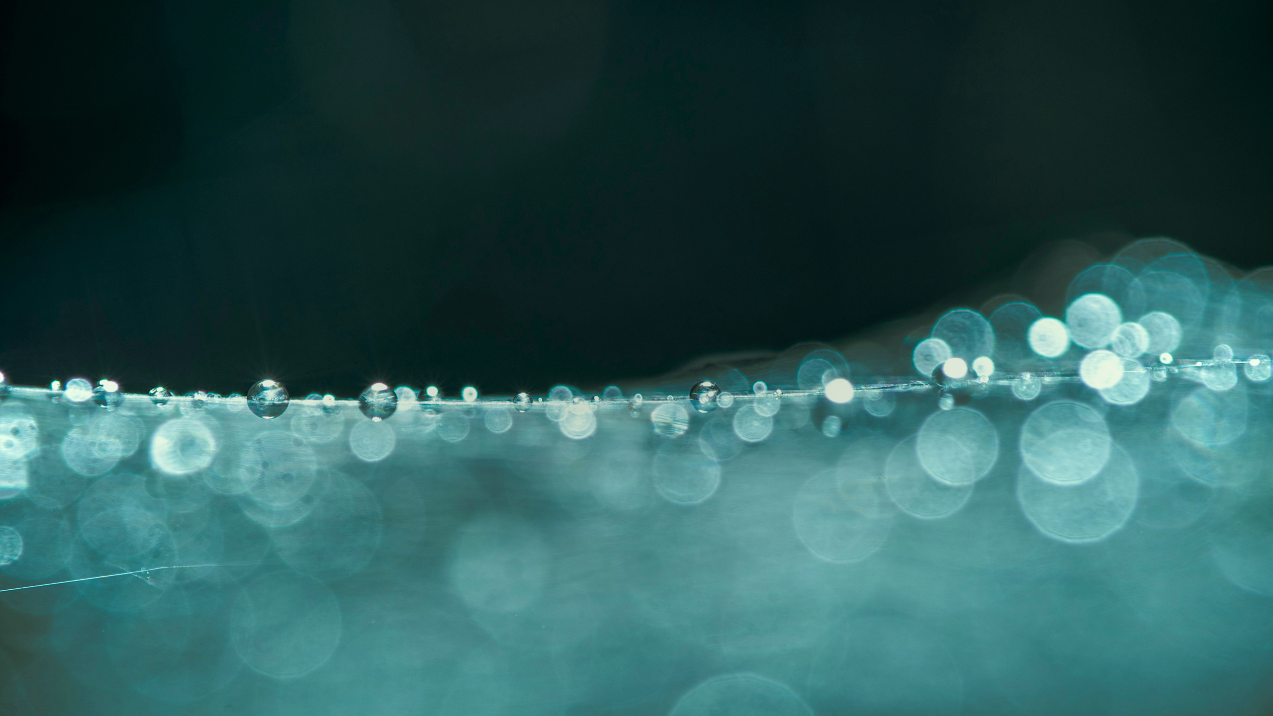 Detergenza professionale