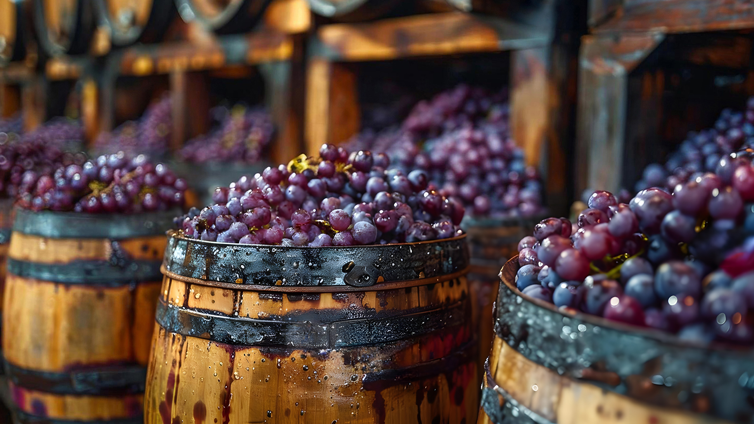 Launch Full Image Desktop