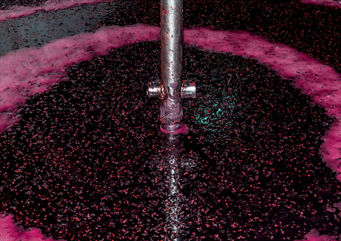 TheRope paragraph-2 Page Gallery